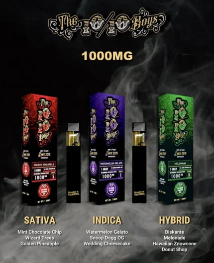 The 10/10 Boys Disposable Vape – 1 Gram